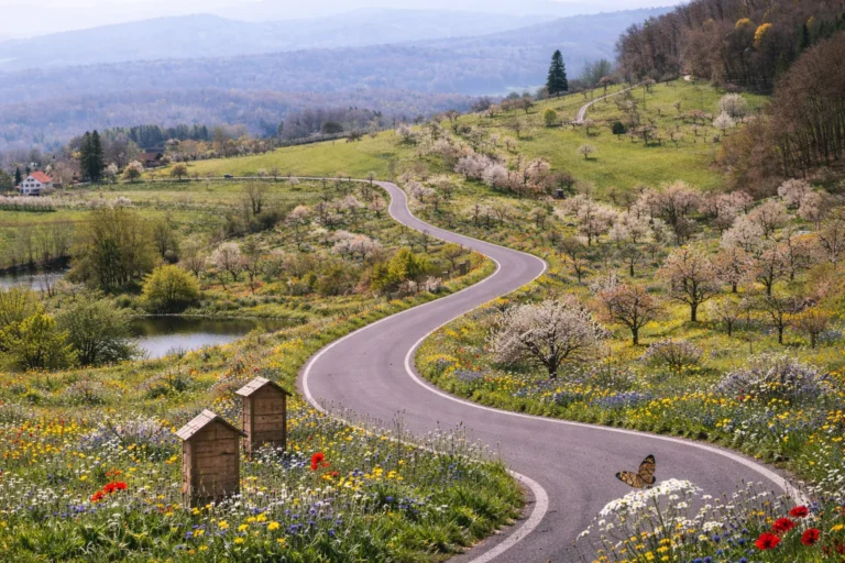 Stilisierte, futuristische "I"-Grafik für das Innovationsprojekt in Basel, Schweiz, von Svolta – Experten für Organisationsentwicklung.