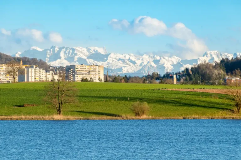 Grafik zur Konzeption und Einführung von kontinuierlichem Feedback durch Svolta – Optimierung der Unternehmenskultur und Mitarbeiterentwicklung.