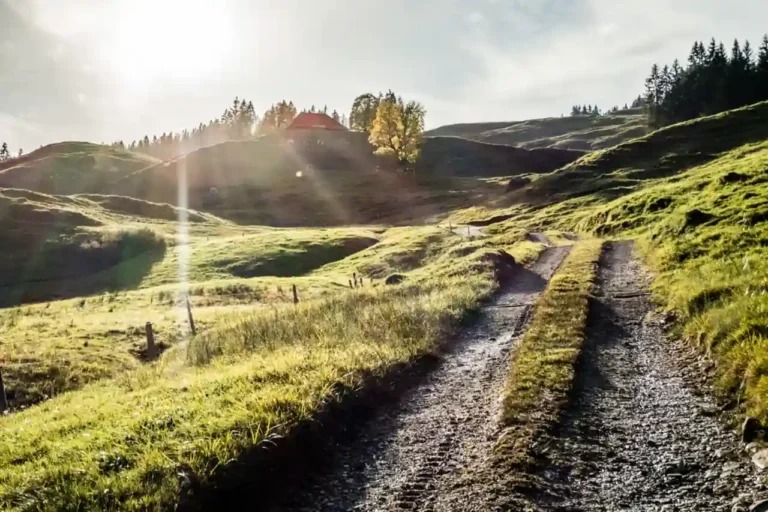Moderne Grafik zur agilen Strategieentwicklung von Svolta – Beratungsdienstleistungen für adaptive Unternehmensstrategien in der Schweiz.